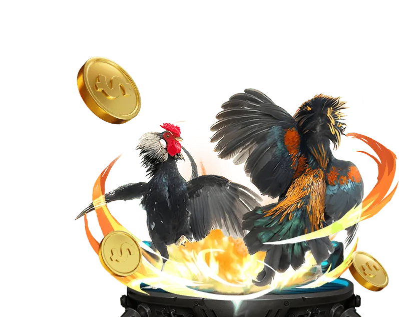 Ưu đãi độc quyền cho thành viên Betcom