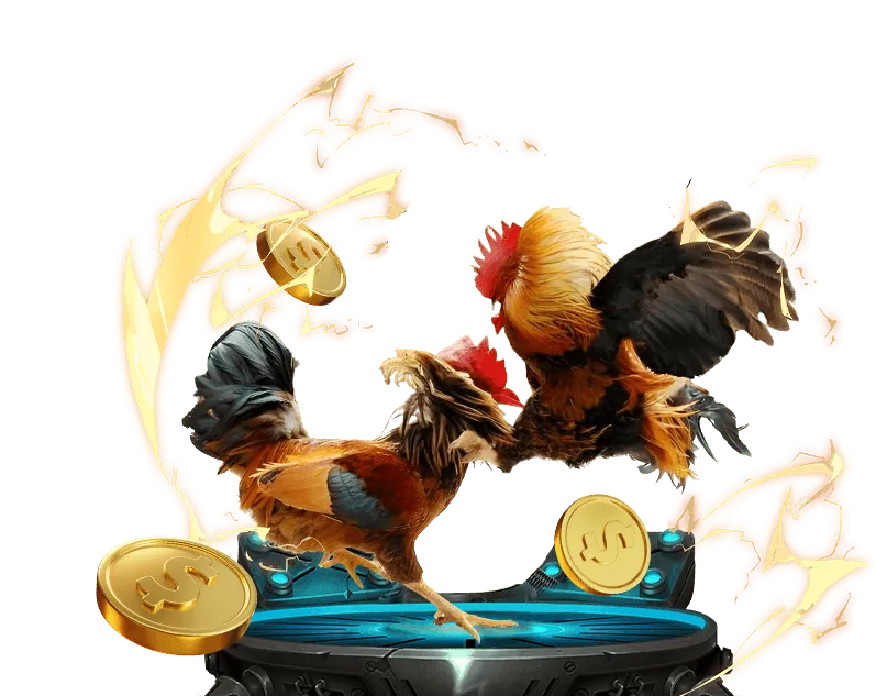 Hỗ trợ khách hàng 24/7 của Betcom